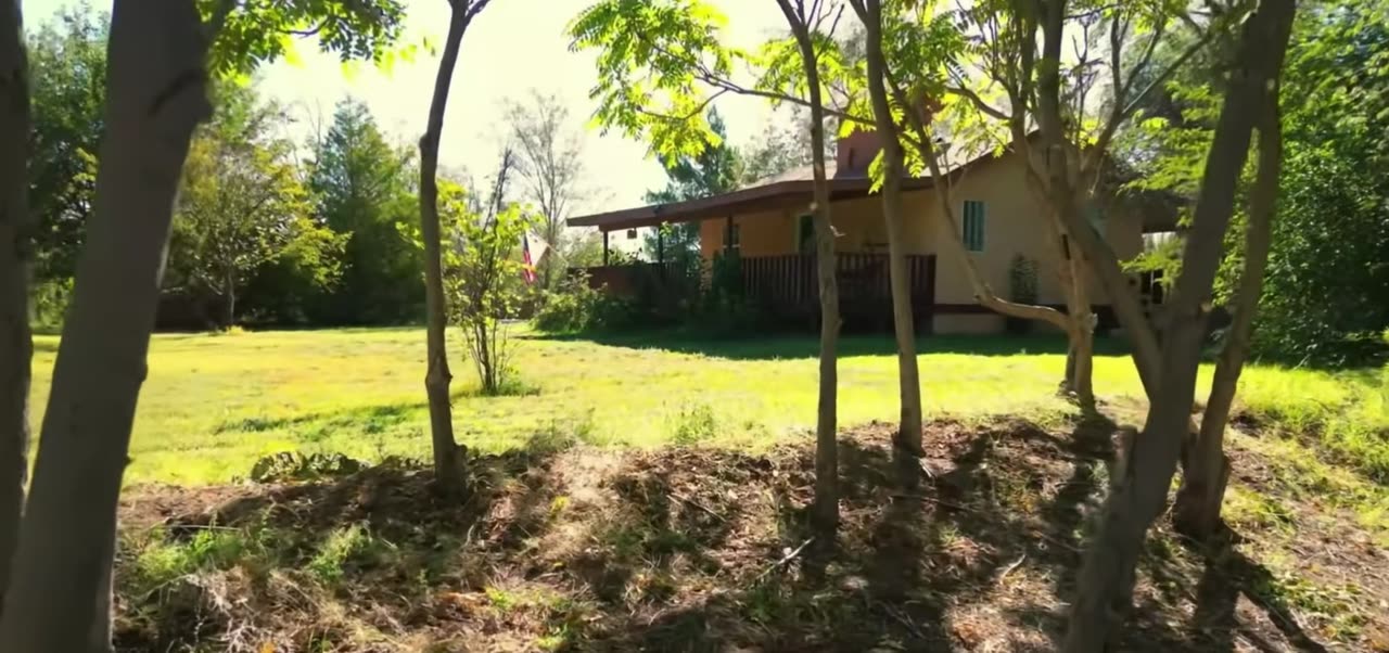 The Lodge